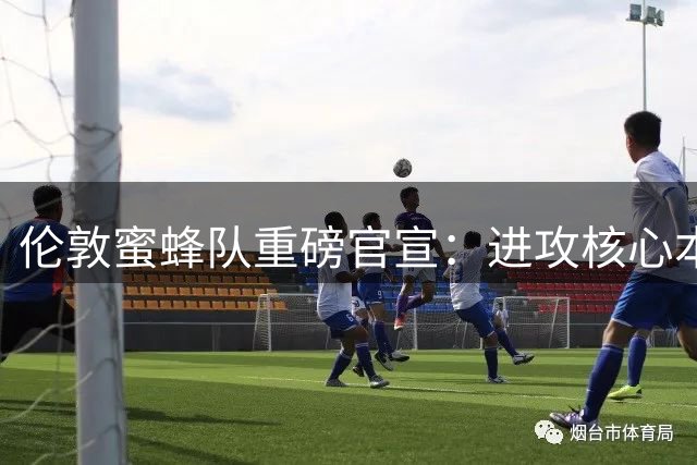 伦敦蜜蜂队重磅官宣：进攻核心本斯特德强势回归